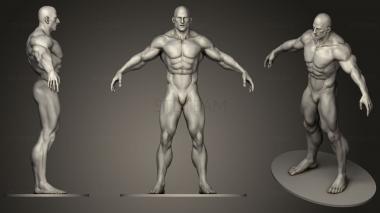 3D model Bodybuilder Free (STL)